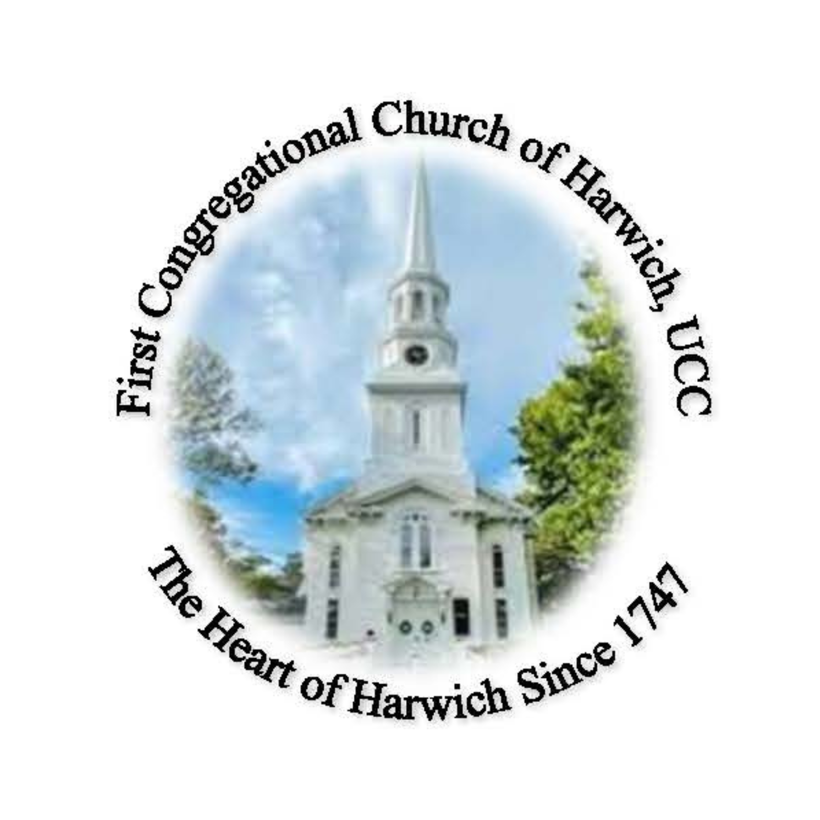 The 204 Logo